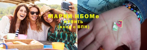 гашик Няндома