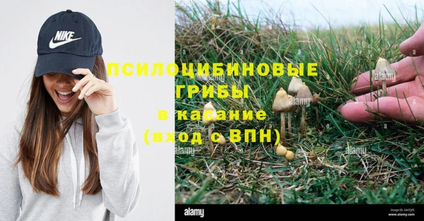 mdpv Нягань