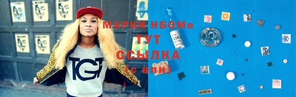 гашик Няндома