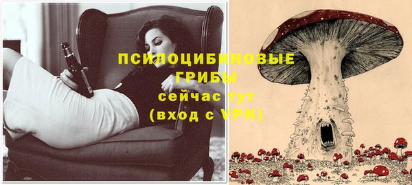 mdpv Нягань
