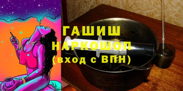 гашик Няндома